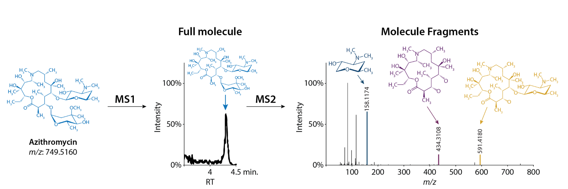 <ul><li><p>Output of M1 is a spectra of intensity vs mass to charge ratio (m/z). Each peak represents a peptide, with its corresponding m/z.</p></li><li><p>Output of M2 is a similar plot, except each peak correspond to a fragment ion of a specific peptide.</p></li></ul><p></p>