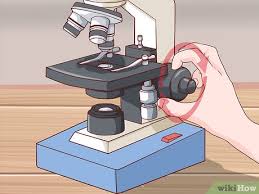 <p>The knob on a microscope used to make large adjustments in focus to bring the specimen into view. </p>