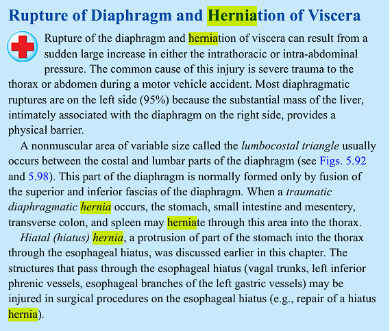 <p>if the intra-thoracic pressure it TOO LARGE, it can cause a sudden rupture of the diaphragm and thus an her</p><ol><li><p class="ds-markdown-paragraph"><strong>of Viscera:</strong></p><ul><li><p class="ds-markdown-paragraph"><strong>Root:</strong> From the Latin <strong><em>viscus</em></strong> (plural: <strong><em>viscera</em></strong>), which meant "an internal organ of the body," especially one found in the abdomen (like the intestines, liver, spleen).</p></li><li><p class="ds-markdown-paragraph"><strong>Literal Meaning:</strong> "Of the internal organs."</p></li></ul></li></ol><p></p>