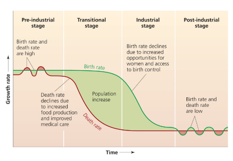 <ul><li><p>Pre-industrial </p><ul><li><p>equal, high, and steady birth/death rates</p></li></ul></li><li><p>Transitional stage</p><ul><li><p>birth rate is high, death rate drops. population increases</p></li></ul></li><li><p>Industrial stage</p><ul><li><p>population growth slows and stabilization begins</p></li><li><p>birth rates are declining </p></li></ul></li><li><p>Post-industrial stage </p><ul><li><p>population stabilizes and may decline. equal, low and stable birth/death rates </p></li></ul></li></ul><p></p>