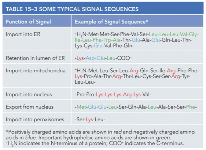 <p><span><strong><span>3-dimentional structure formed by aa’s of the protein</span></strong></span></p>
