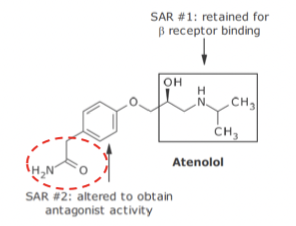 <ul><li><p>Replacement of catachol ring with <strong>para substituted phenyl ring </strong>changes it to antagonistic activity</p></li></ul><p></p>