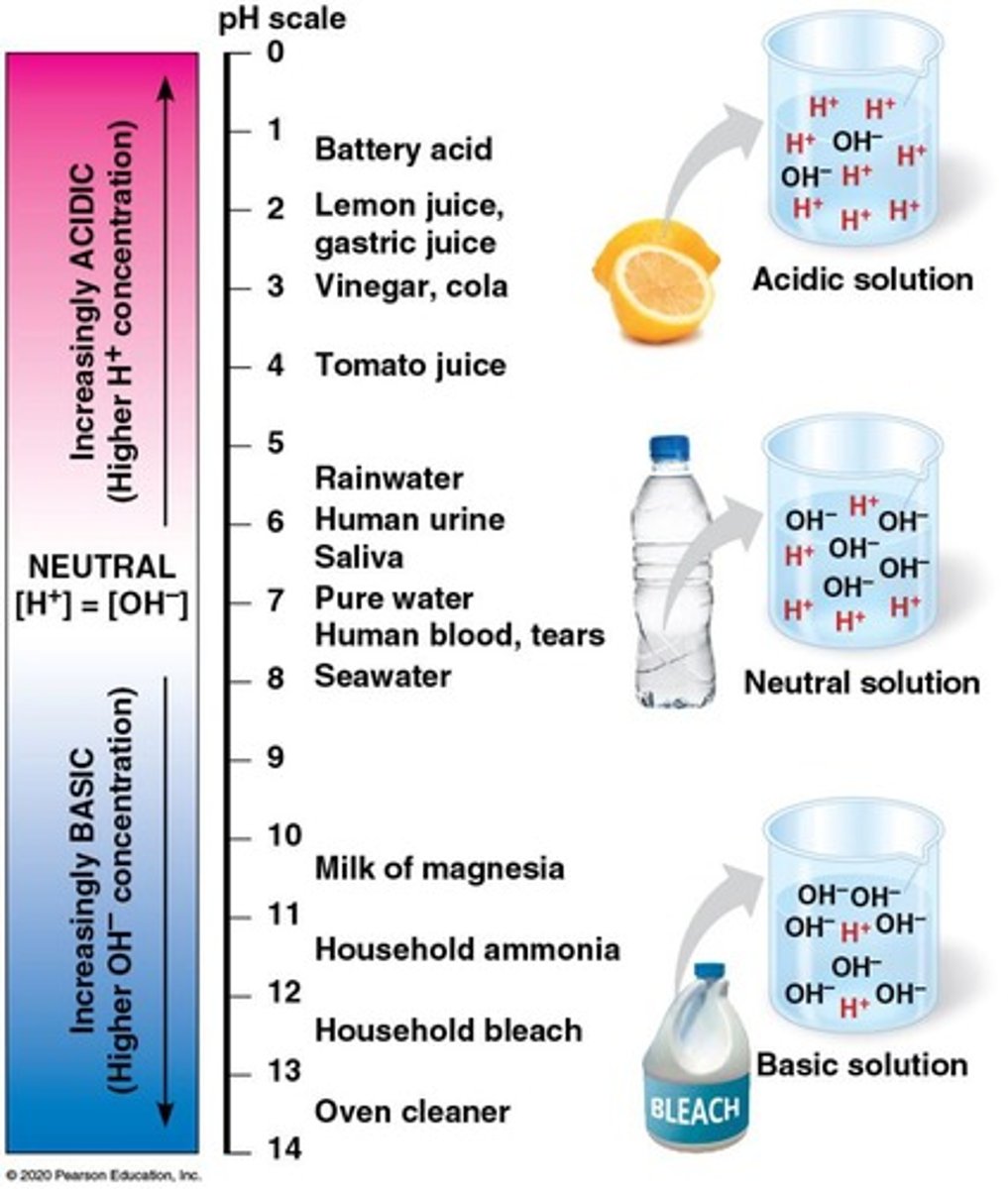 <p>Measures acidity or basicity of a solution.</p>