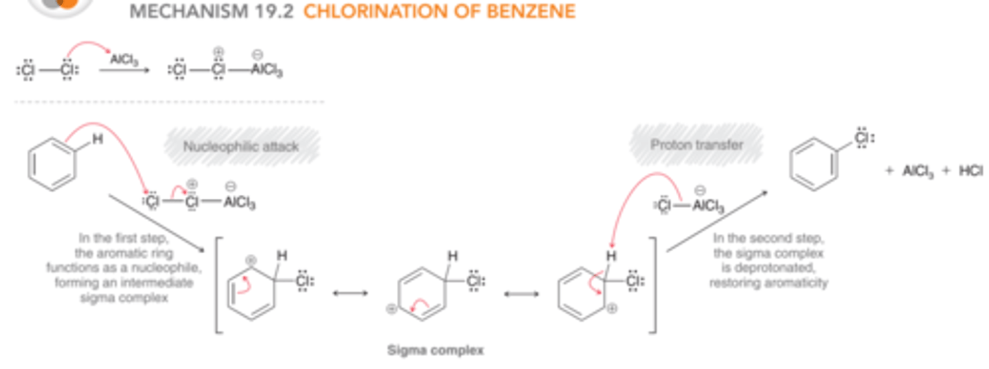 <p>1st step: The aromatic ring functions as a nucleophile and attacks the electrophilic agent, generating a sigma complex.</p><p>2nd step: The sigma complex is deprotonated, restoring aromaticity &amp; regenerating the Lewis acid (AlCl3)</p>