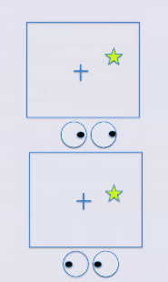 <p>Working memory capacity influenced by executive control</p><p>Participants: Group 1 - High working memory, Group 2 - Low working memory</p><p>Task: move eyes toward cue (easier because it’s an automatic response to look at attention giving stimulus), move eyes away from cue (harder because of automatic response, but the executive control system should help if your goal is to preform well on this study)</p>