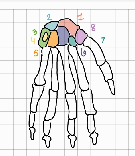 <p>7</p>