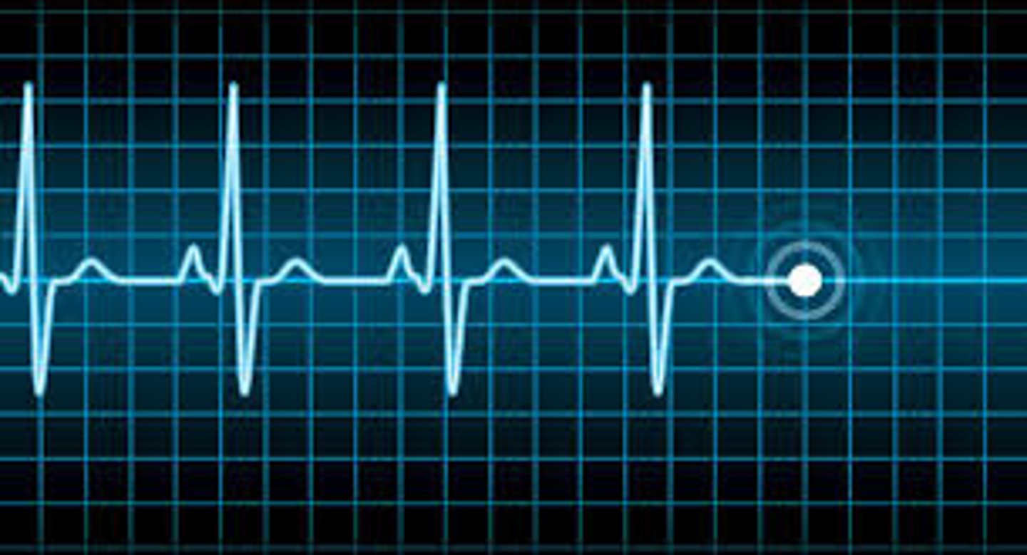 <p>number of heart beats per minute</p>