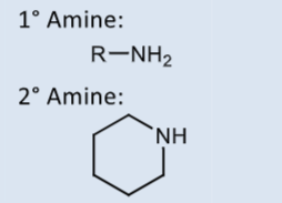 <p>pKa = 9-10 (primary), 10-11 (secondary)</p><p>Basic under physiological conditions</p>