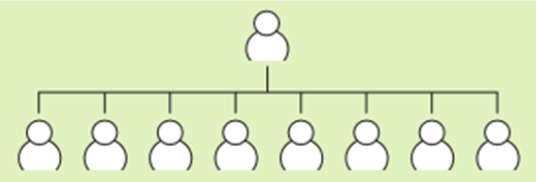 Level of Hierarchy: Flat Organizational Structure
