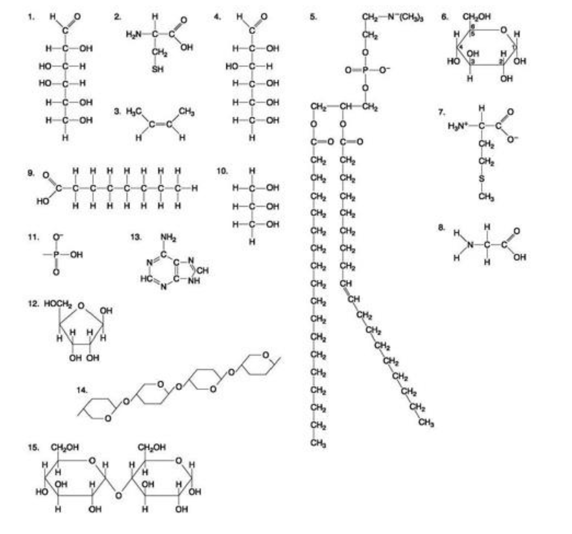 <p>The following question is based on the 15 molecules illustrated below</p><p>Which of the following molecules act as building blocks (monomers) of polypeptides?</p><p>A) 1, 4, and 6</p><p>B) 2, 7, and 8</p><p>C) 7, 8, and 13</p><p>D) 11, 12, and 13</p><p>E) 12, 13, and 15</p>
