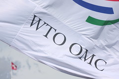 The World Trade Organization - an international body that enforces agreements that reduce barriers to international trade; successor to the GATT, FOUNDED 1995.
