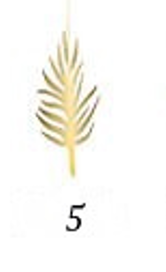 <p>What kind of feather is this?</p>