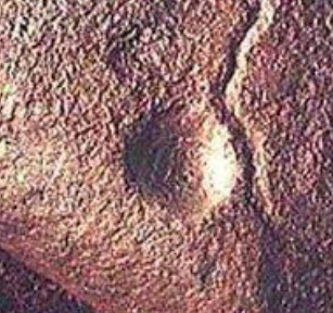 <p>Bhimbetka Petroglyphs</p>