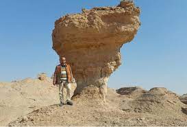 <p>similar to yardangs up to 30m high </p><p>however develop in horizontally layered rocks </p><p>gives pedestal shape with a flat capped rock </p><p>primarily due to abrasion which occurs only a couple meters above floor </p><p>means top is often larger </p>