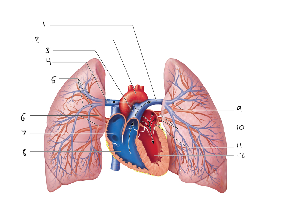 <p>4</p>