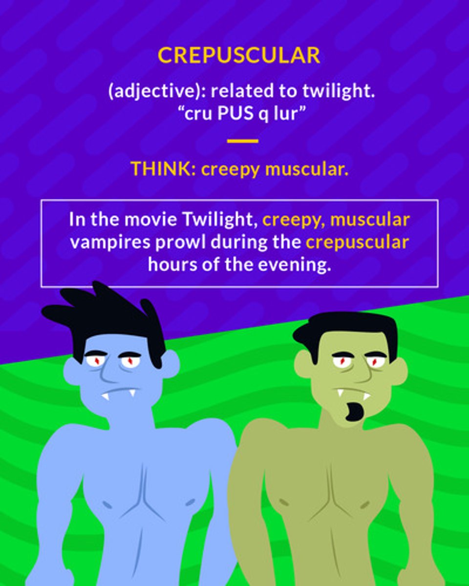 <p>(adj.) of, resembling, or relating to twilight</p><p>(adj.) relating to twilight</p>