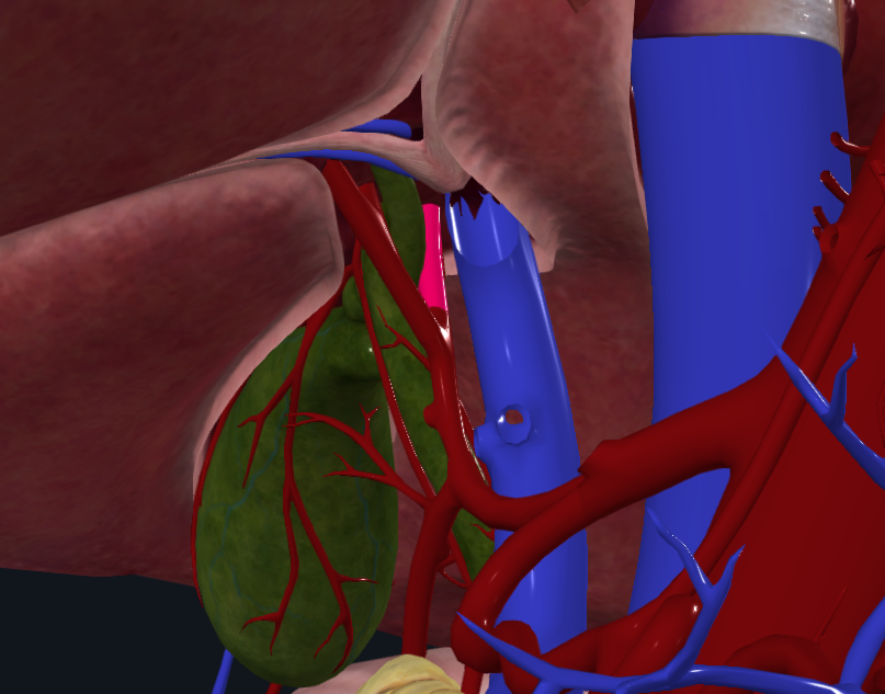 <p>What is highlihgted</p>