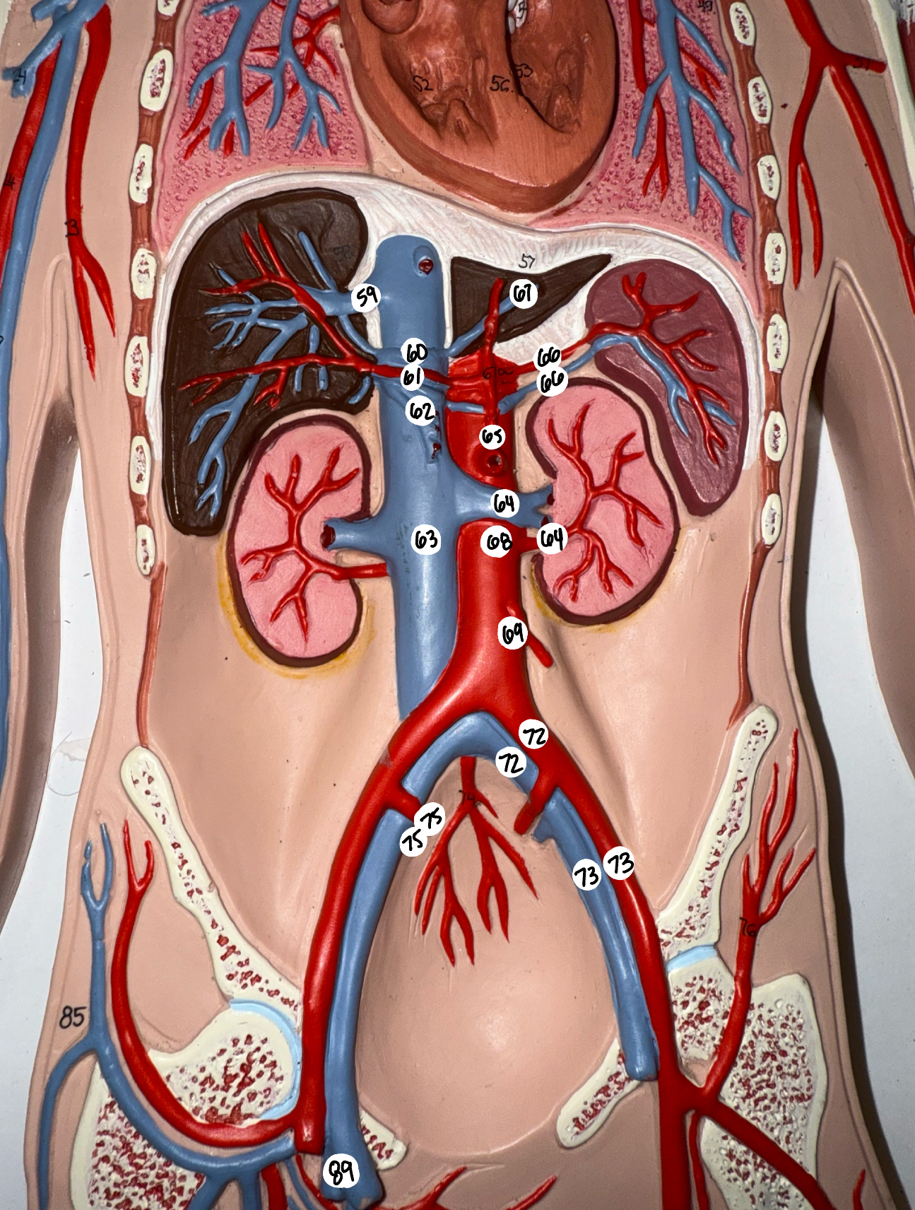 <p>65; 66; 67; 68; 69; </p>