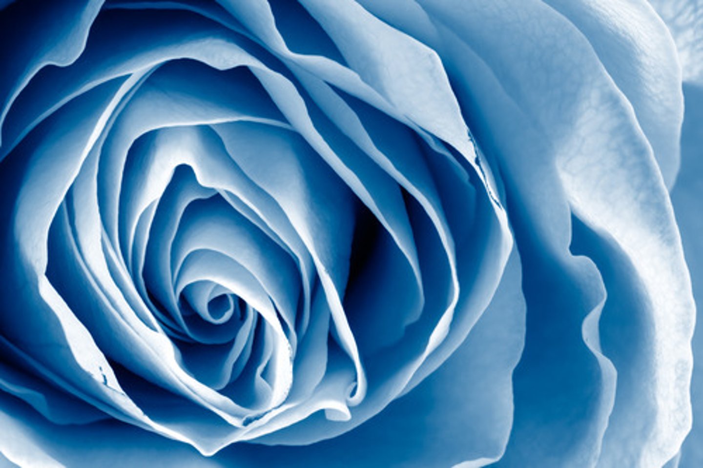 <p>tints and shades of one color</p>