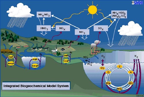 The movement of matter within and between ecosystems
