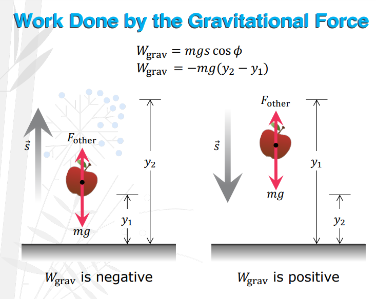<p> W<sub>grav</sub> = Formula for y<sub>2 </sub>and y<sub>1</sub> is ______</p>