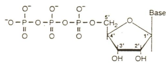 <p>what molecule is this?</p>