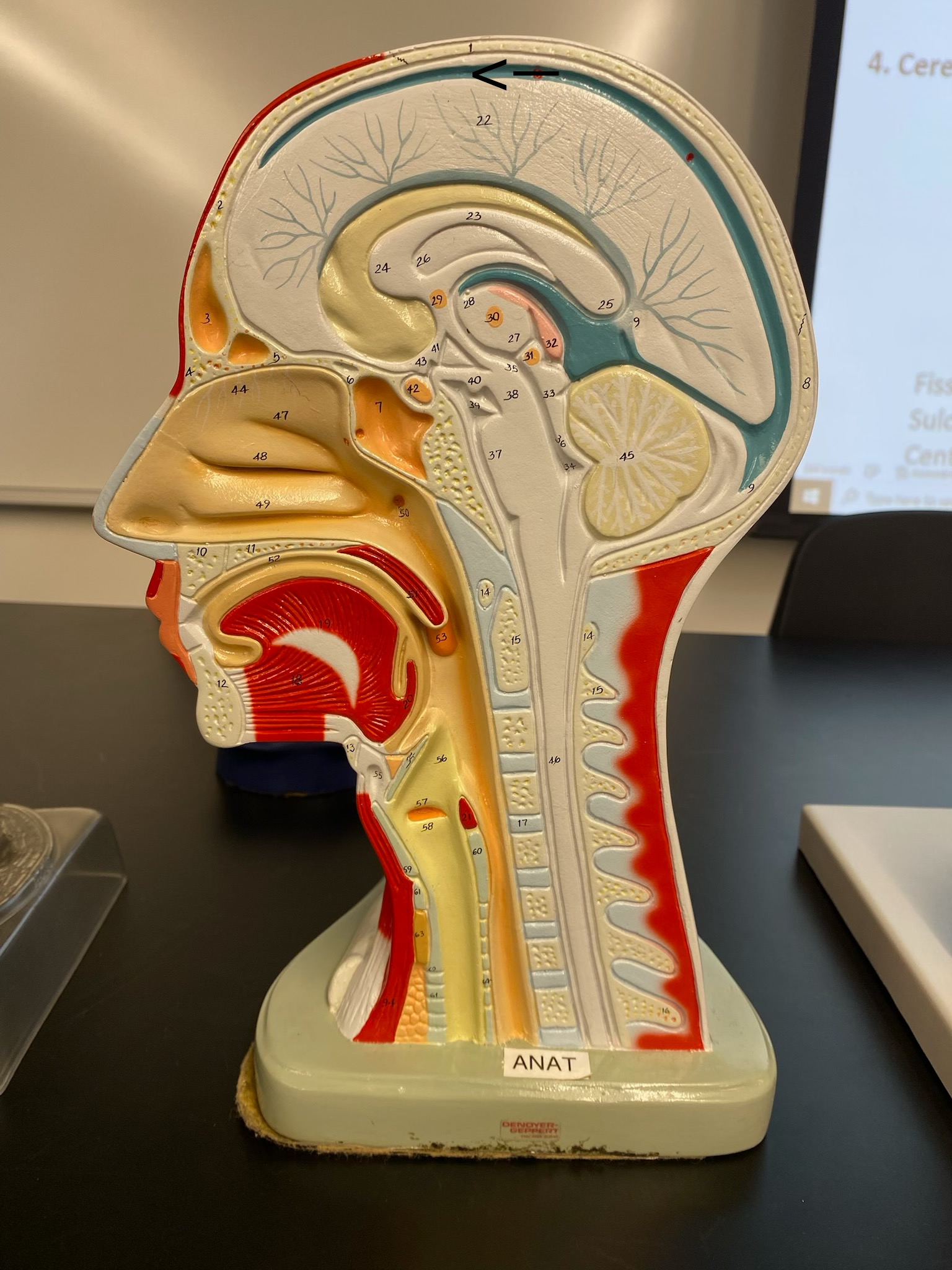 <p>ID structure </p>