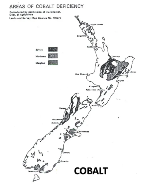 <p><u>Signalment:</u> Lamb > Adult sheep > Cattle</p><ul><li><p>Lack of good data for deer</p></li></ul><p><u>Season:</u> Spring and summer (lower [Co] in pasture due to higher growth rates → Dilution of Co)</p><p><u>District:</u> Bay of Plenty (volcanic soils)</p><ul><li><p>Lake Taupo ash blown over the Bay of Plenty → Young volcanic soil with Co deficiency)</p></li></ul><p></p>
