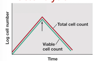 <p>a subset of cidal agents that kill bacteria by lysing them</p><p>(bacteriolytic)</p>