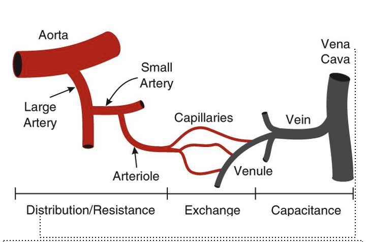 <p>Describe this image</p>