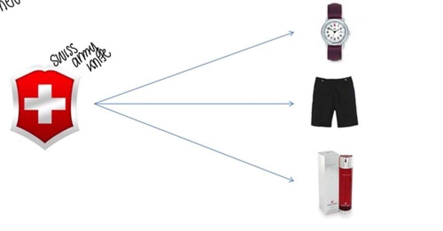 <p>using the parent brand in a "different product category" (ex: disney resorts, parks, TV, etc)</p>