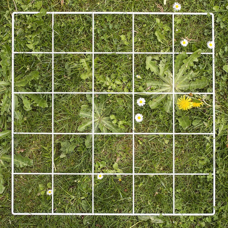 <p>using net-like sections, could individuals in each area or estimate the coverage of the net. </p>