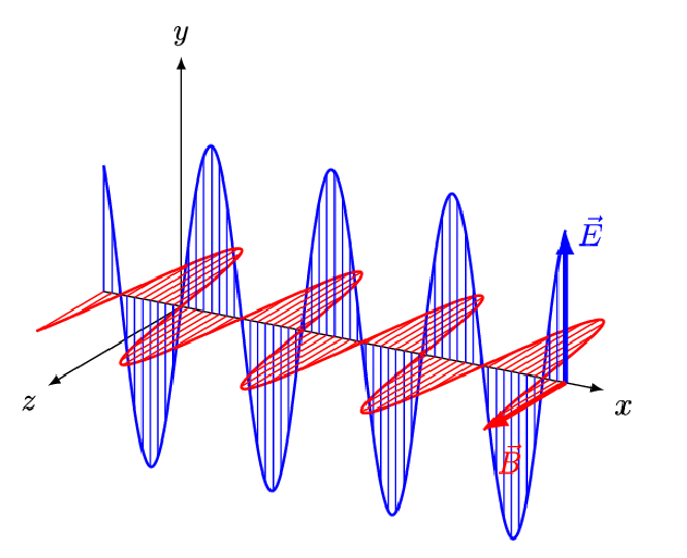 <p>Light: Animation</p>