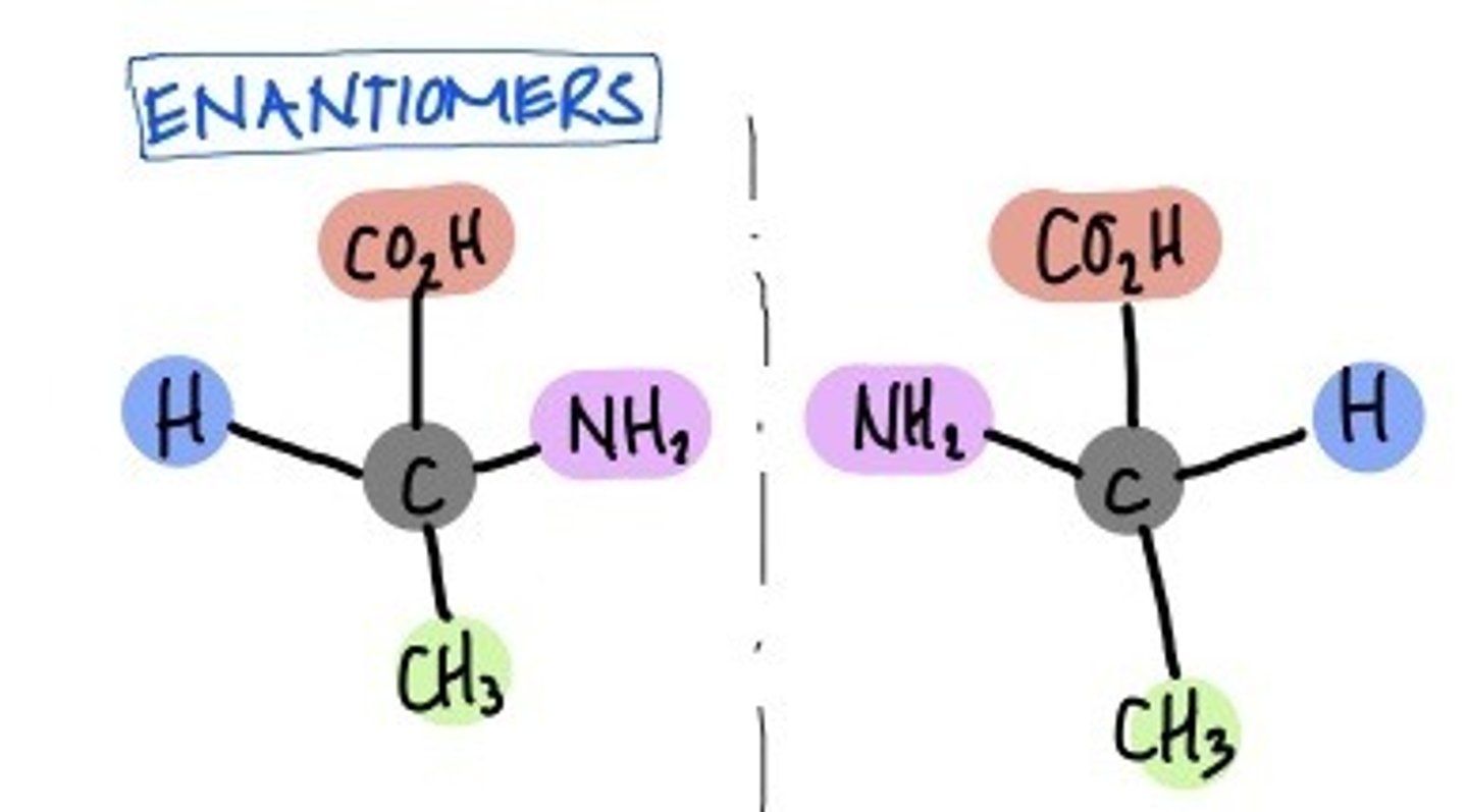 <p>isomers that are mirror images of each other</p>