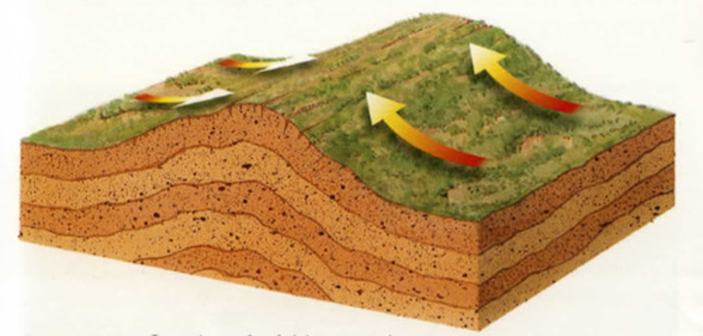 <p>A fold is a bend in the rock strata and folding is a type of earth movement resulting from the horizontal compression of rock layers by internal forces of the earth along plate boundaries.</p>
