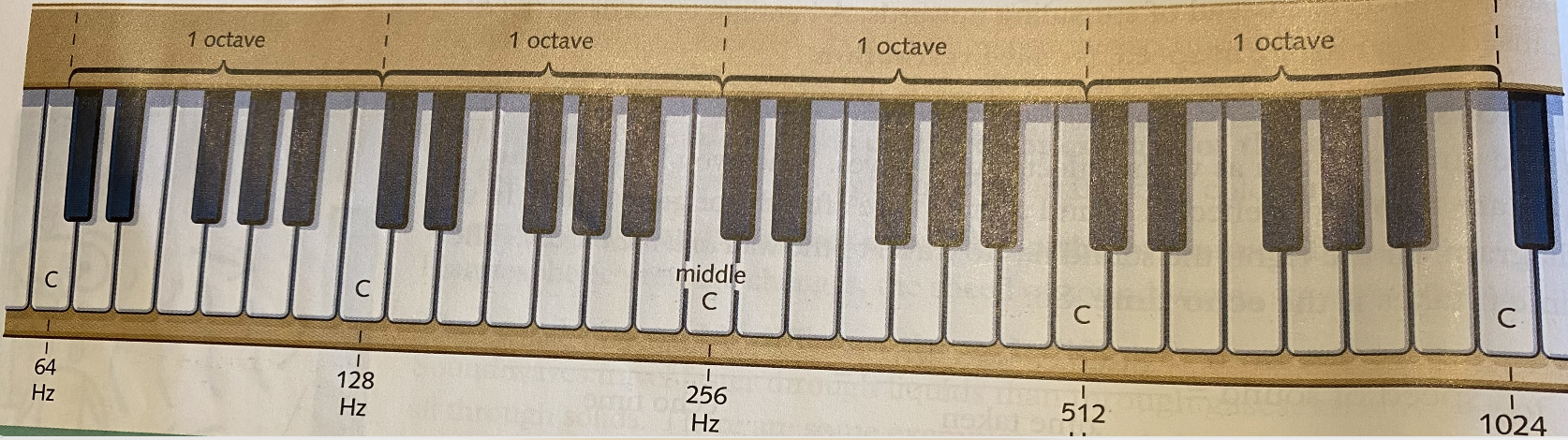 <p>The frequency doubles.</p>