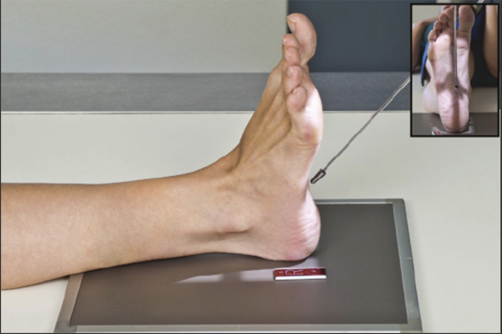 <p>Fine FS, 100cm</p><p>65kVp, 6mAs</p><p>Tube angle 45 degrees cephalic</p><p>CR: 3rd metatarsal base</p>