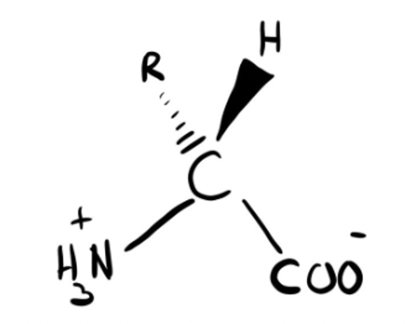 <p>L or D isomer?</p>