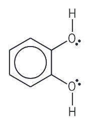<p>name this molecule</p>