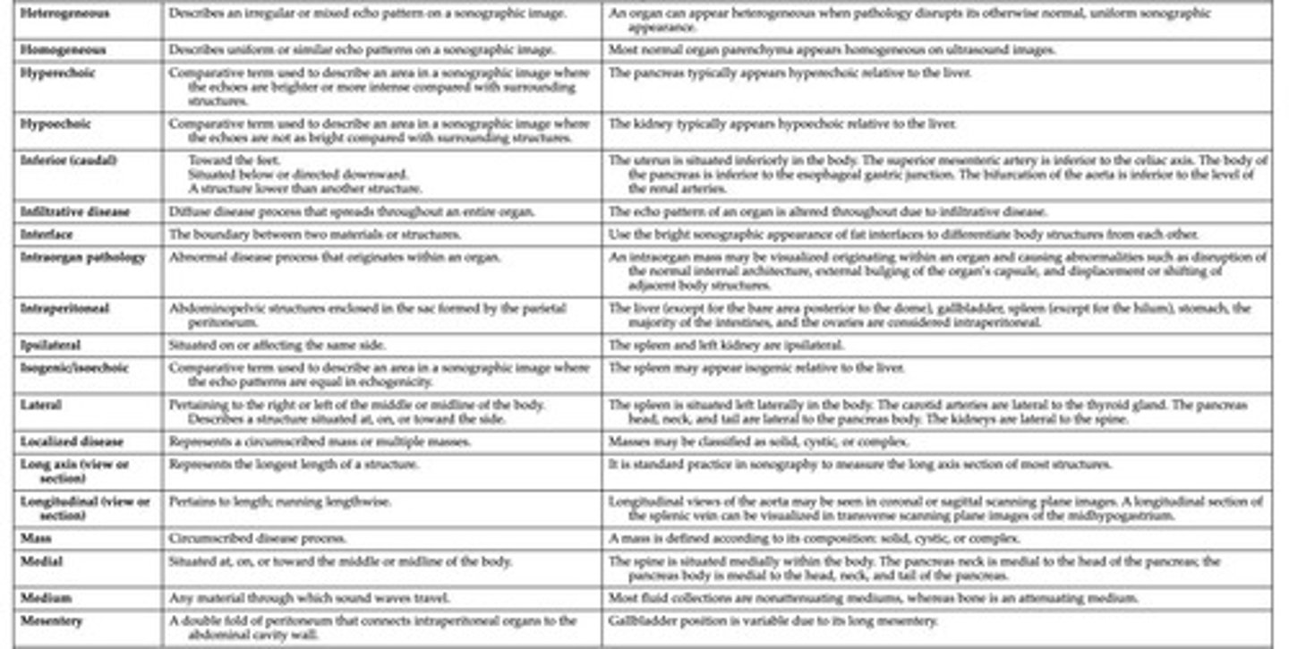 <p>Uniform or similar echotexture.</p>