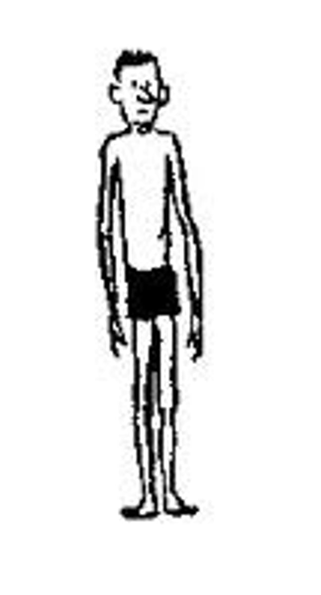 <p>skinny</p>