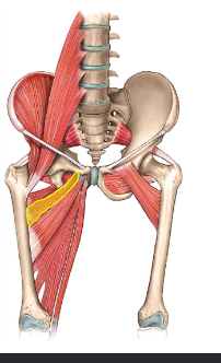 <p>What is this? </p>