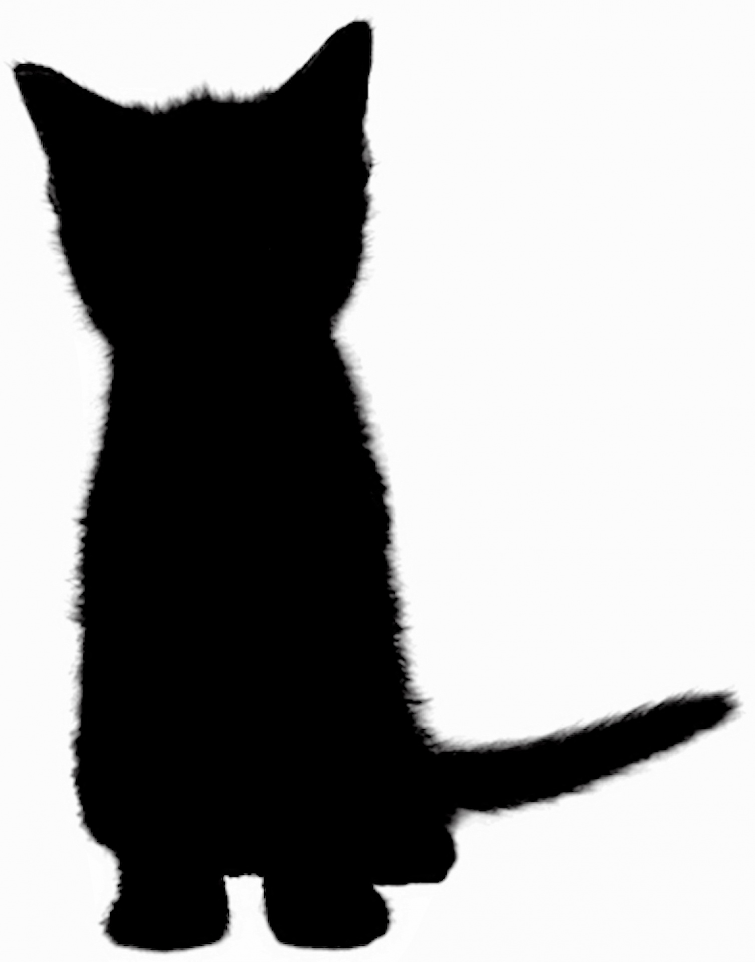 <p>cat</p>