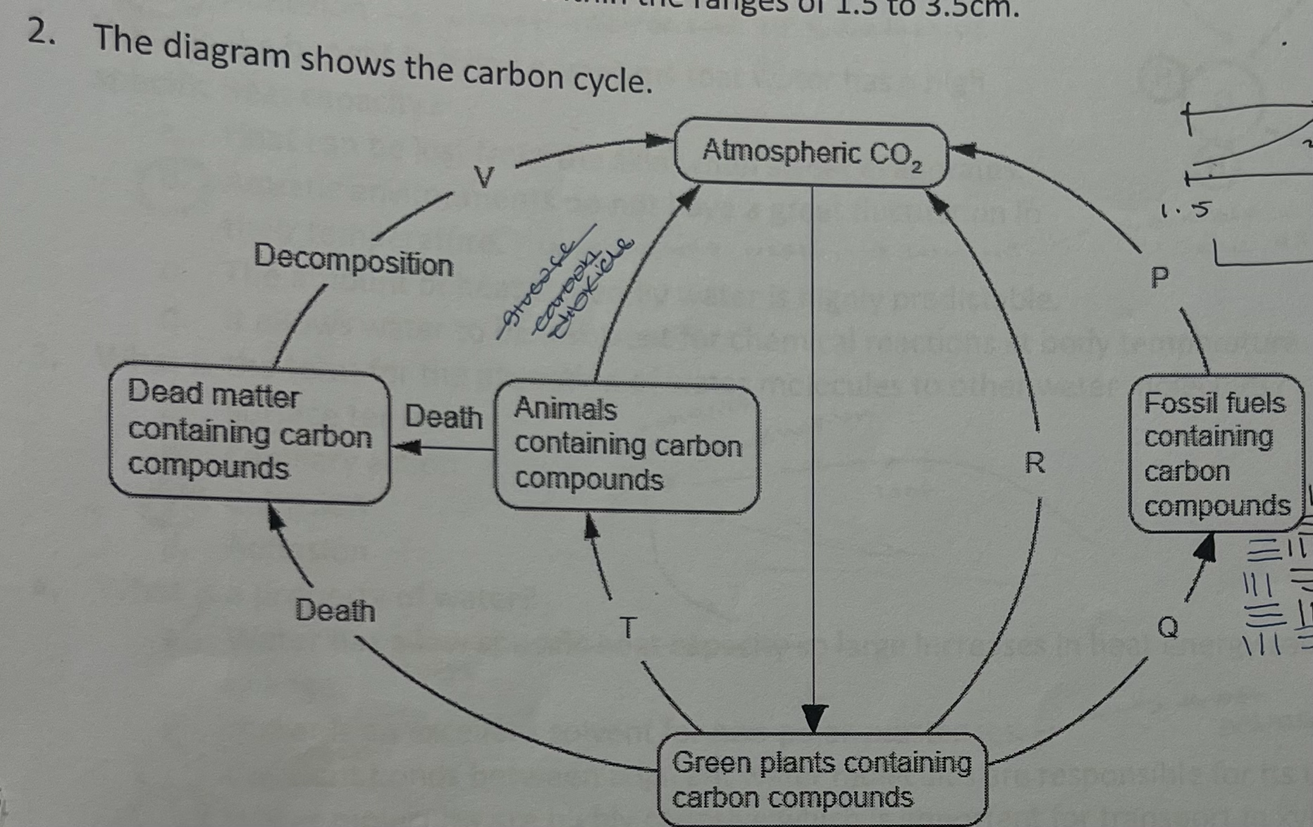 <p>which letters represent respiration</p><p>a. r and t </p><p>b. p and v</p><p>c. q and r</p><p>d. r and v</p>