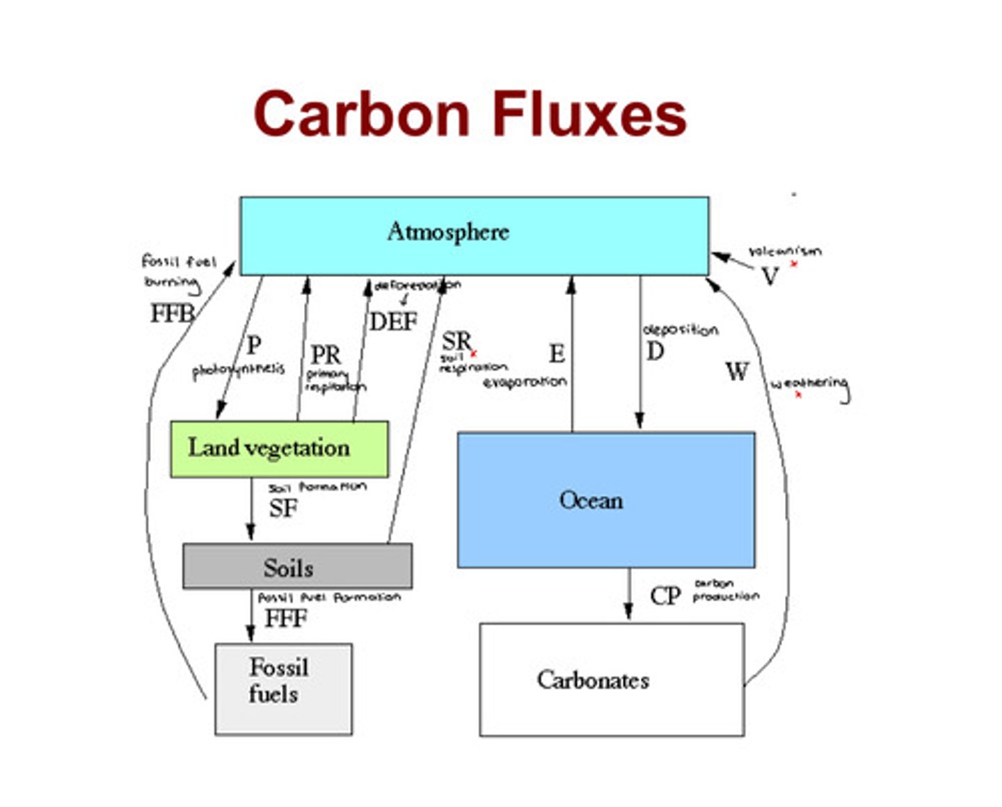 <p>Transfer of carbon through various processes; the largest carbon fluxes occur between land plants and the atmosphere, and between the ocean and the atmosphere.</p>