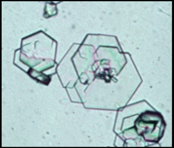 term image