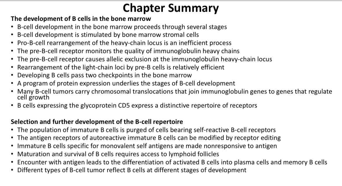 <p>Chapter 6 summary</p>