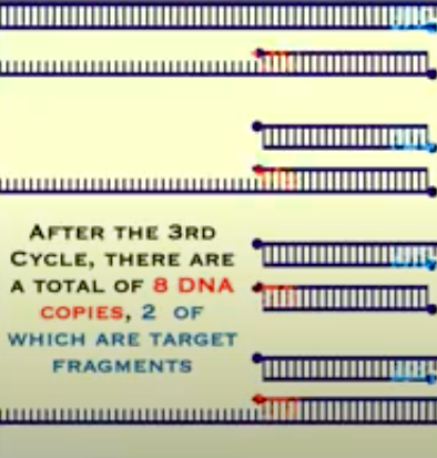 <h4 collapsed="false">Repeat Steps 1-4</h4>