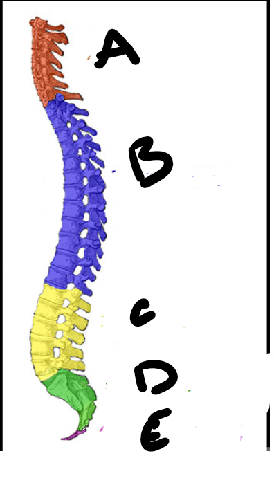 <p>D</p>