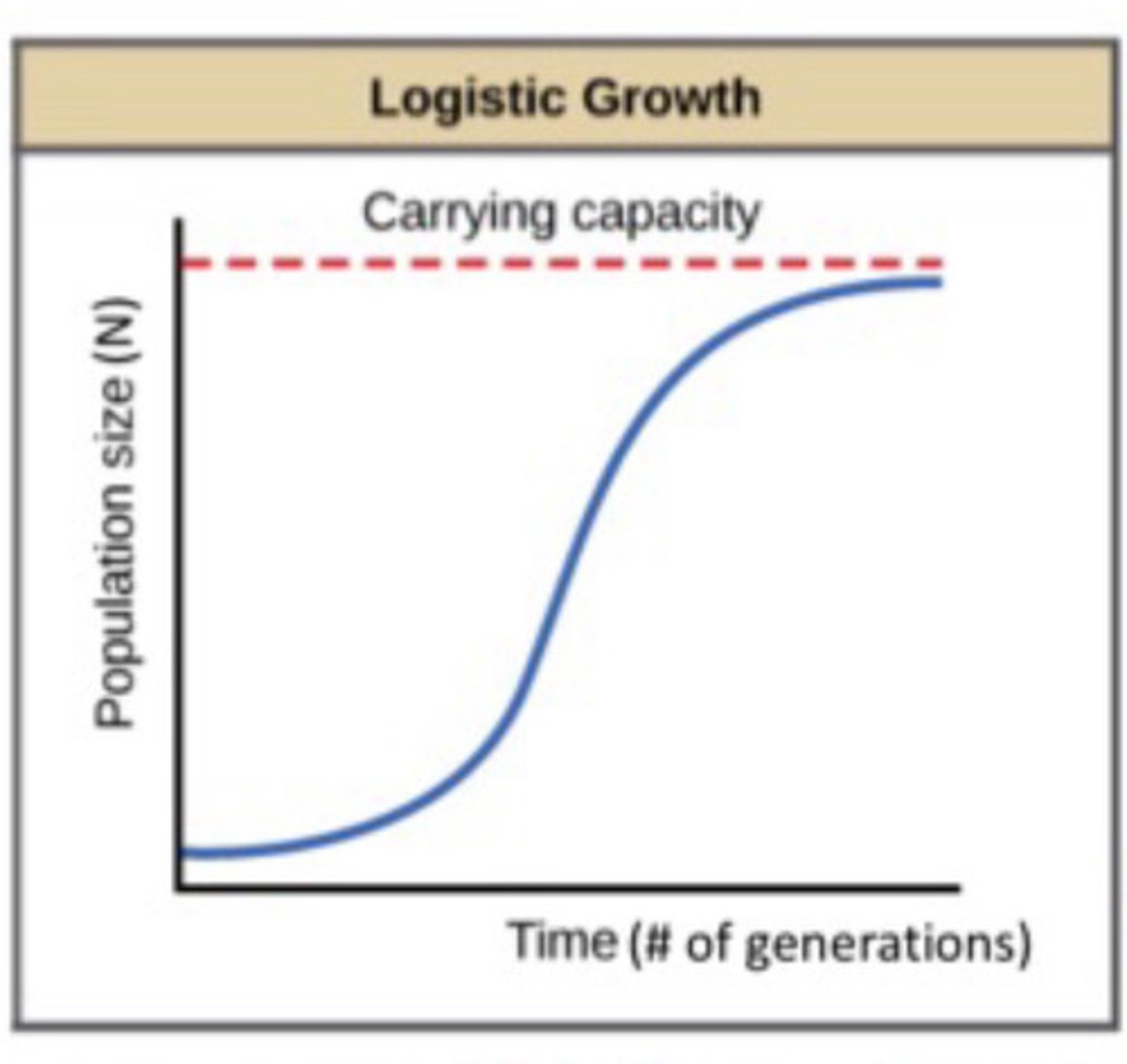 <p>- S shaped curve (Sigmold)</p><p>- First part resembled exponential growth</p><p>- Levels out as K is approached</p><p>- Reflects decline in growth as population reaches K</p>